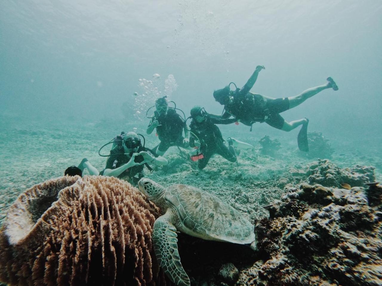 גילי טרוונגן Diversia Diving Club & Bungalows מראה חיצוני תמונה